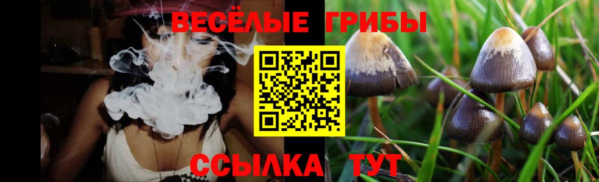 Псилоцибиновые грибы Magic Shrooms  Галлюциногенные грибы Cubensis  Похвистнево  Вход с VPN 